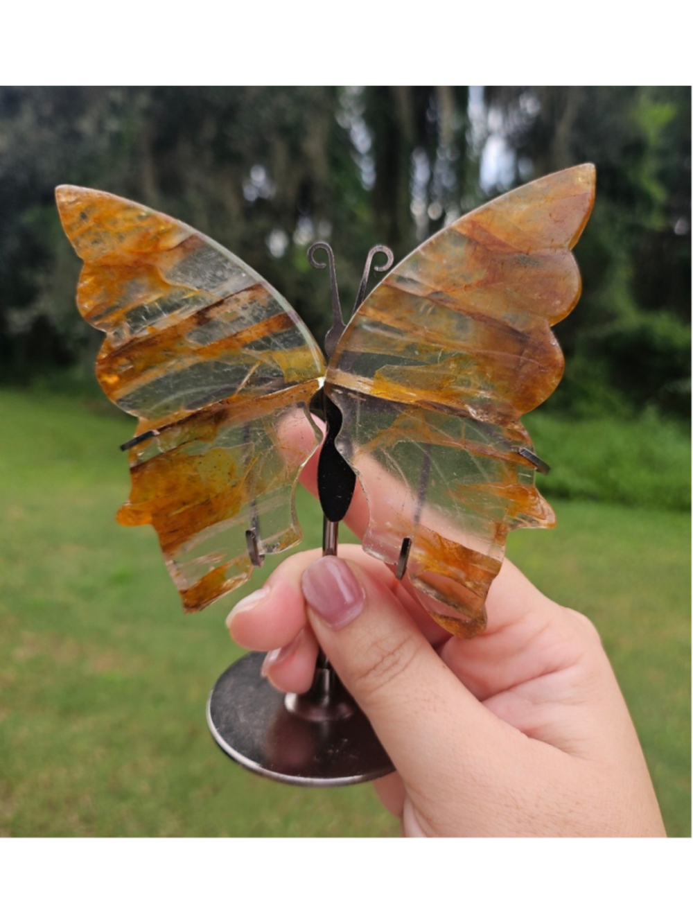 Golden Healer butterfly on stand